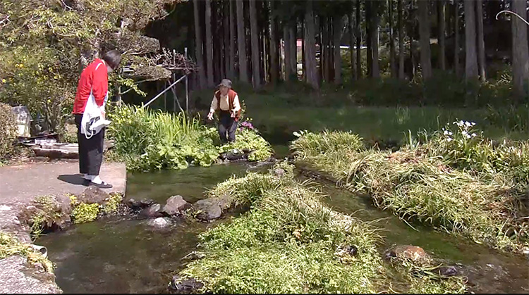 A resident picking parsley and Inui in the irrigation canal. The spring water, with a year-round temperature of 11°C, provides valuable water for daily use throughout the four seasons.