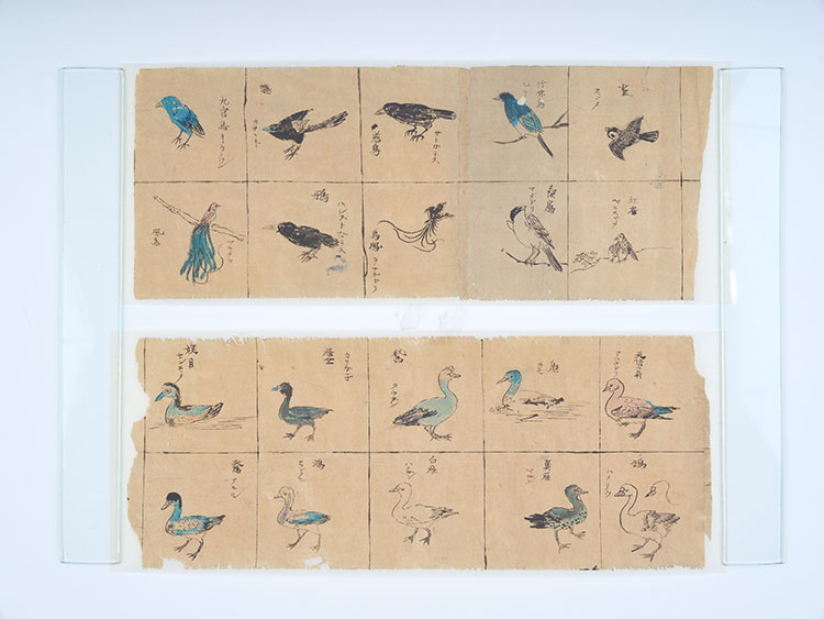 動植物模写図（動物・鳥類）　画像提供：南方熊楠記念館