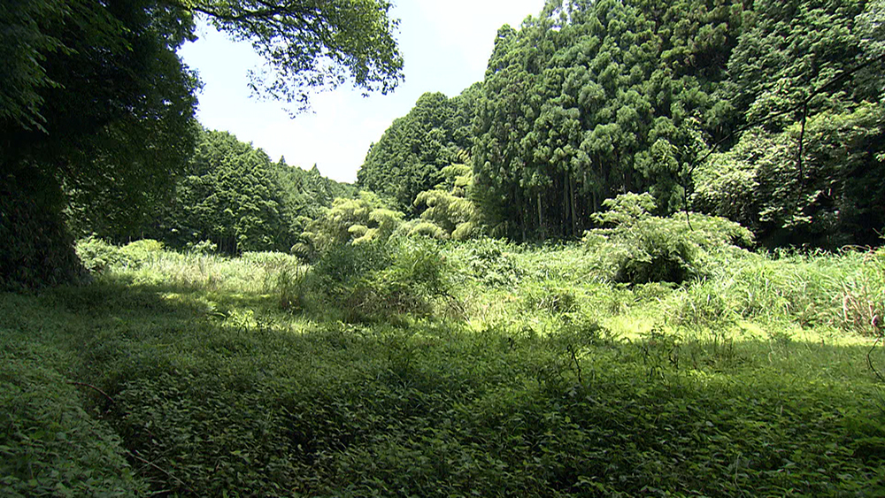 氷をつくった池があったとされる場所。谷は日陰が多く風通しが良いため、尾根から流れ出た水が凍りやすい。